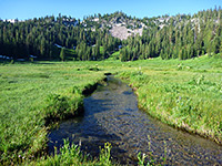 Paradise Meadows